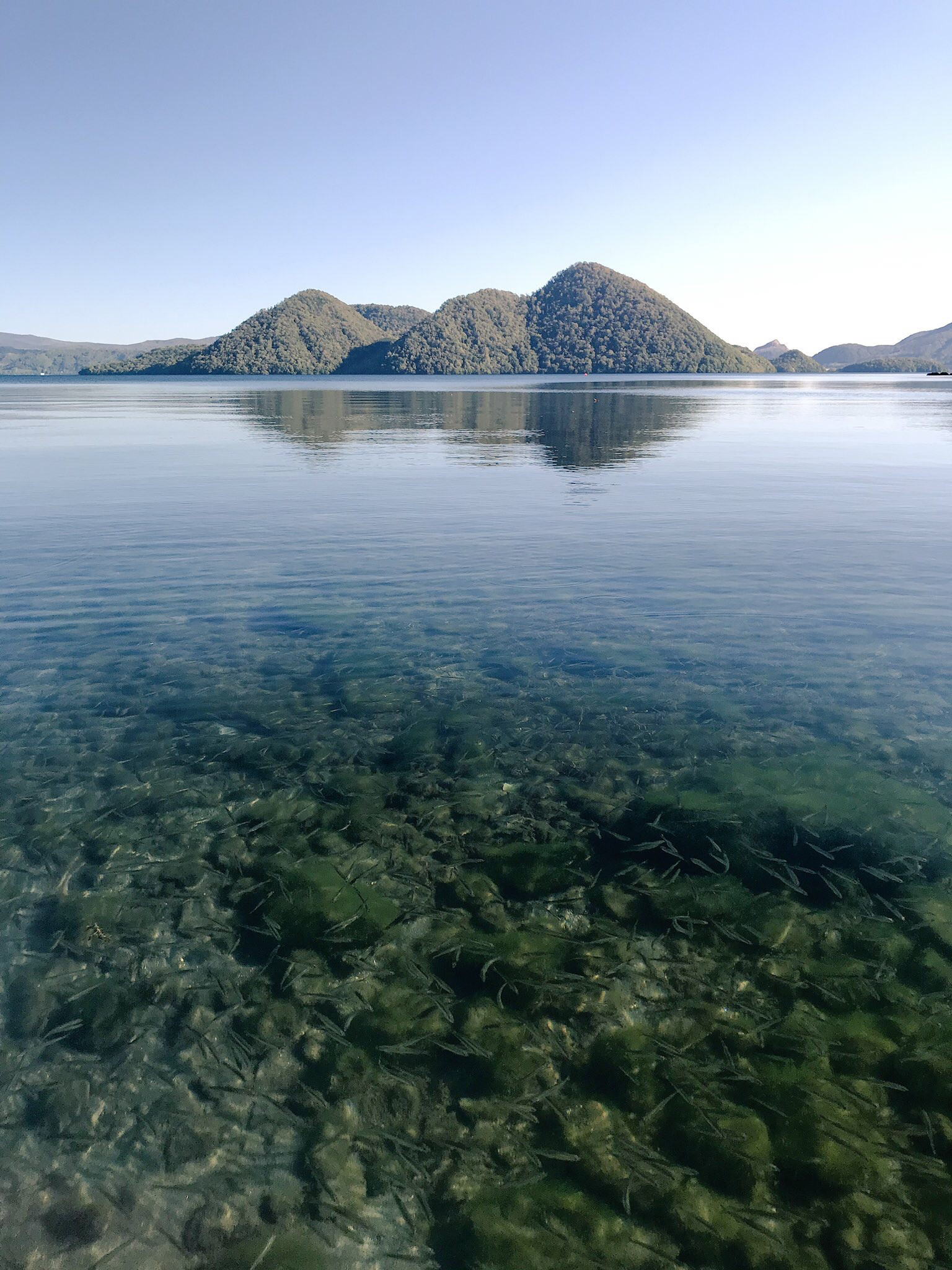 洞爺湖中島水中.jpg